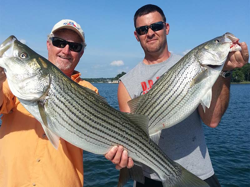 Kenny's Striper Guide Service on Smith Mountain Lake